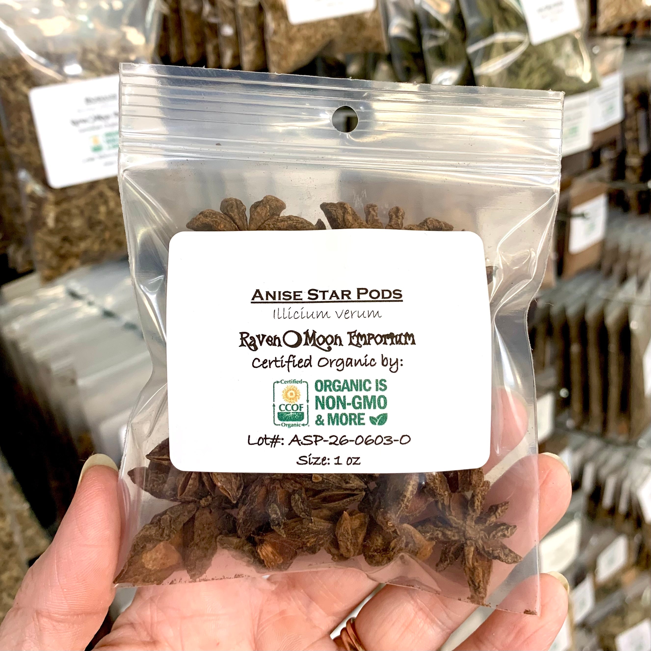 Hand holding a clear plastic zip bag of Anise Star Pods. The bag is labeled with the Raven Moon Emporium logo.