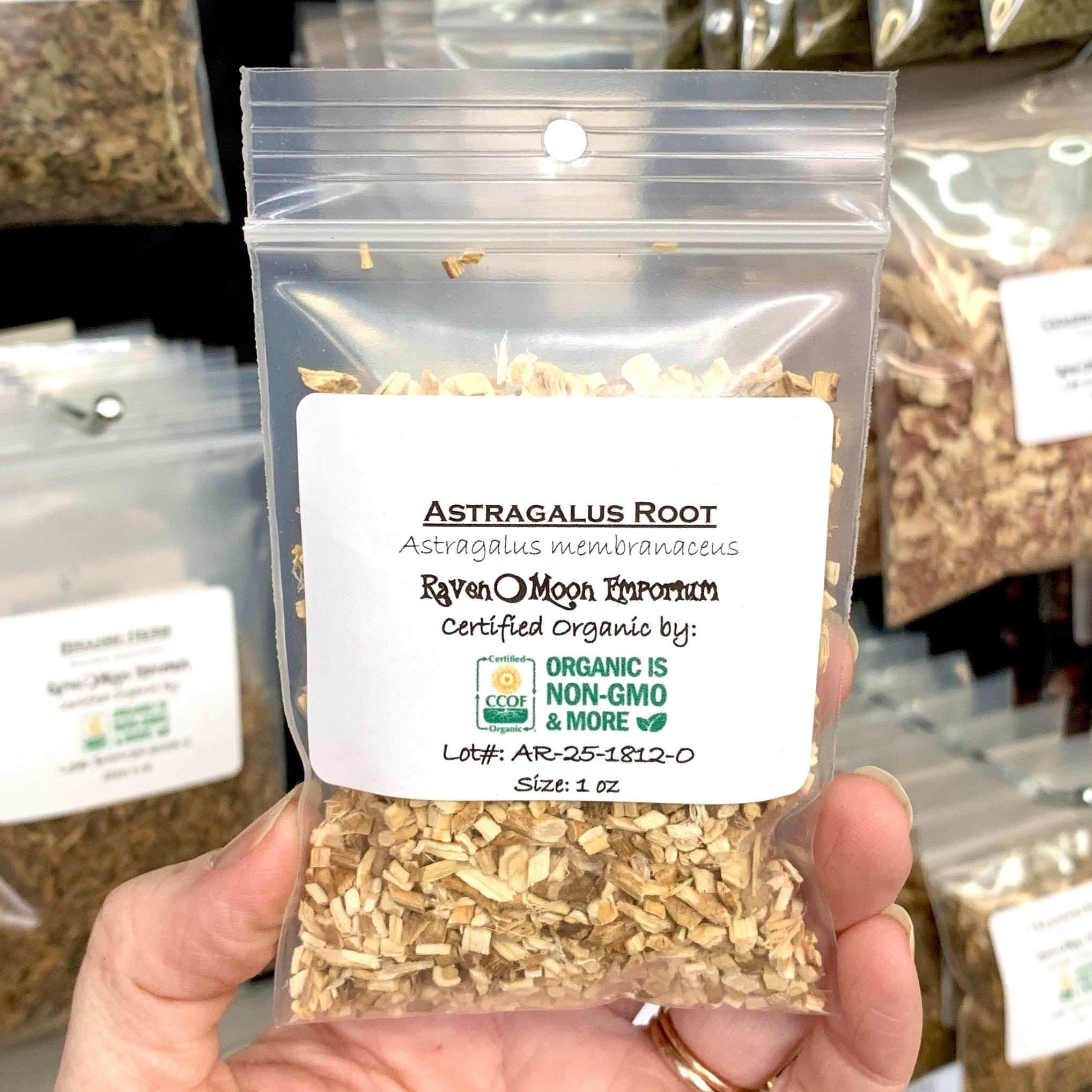 A hand is holding a clear plastic zip bag of Astragalus root pieces. The bag is labeled with the Raven Moon Emporium logo.