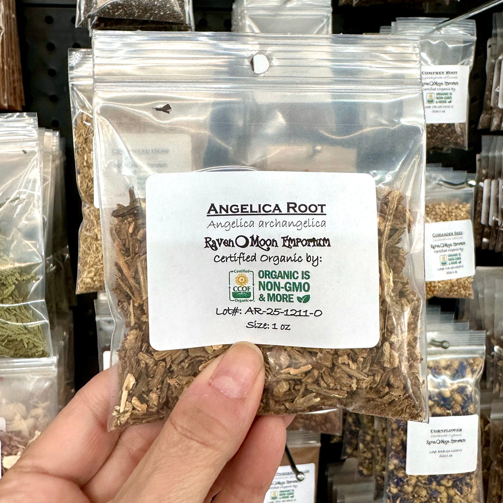 Packaged angelica root with a label held by a hand in a store setting. The bag is labeled wtih the Raven Moon Emporium logo.