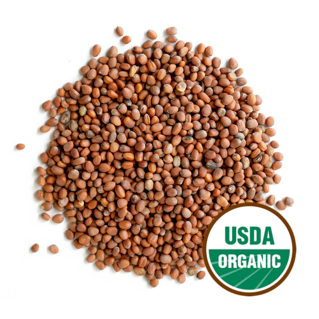 Radish Sprouting Seeds, Organic