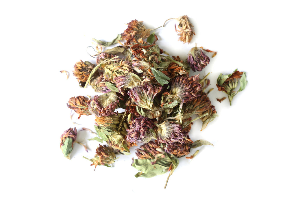 Red Clover Blossoms (Organic)
