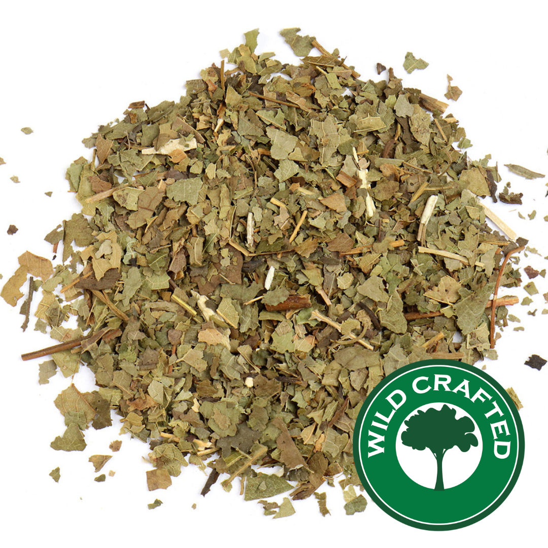 Sassafras Leaf
