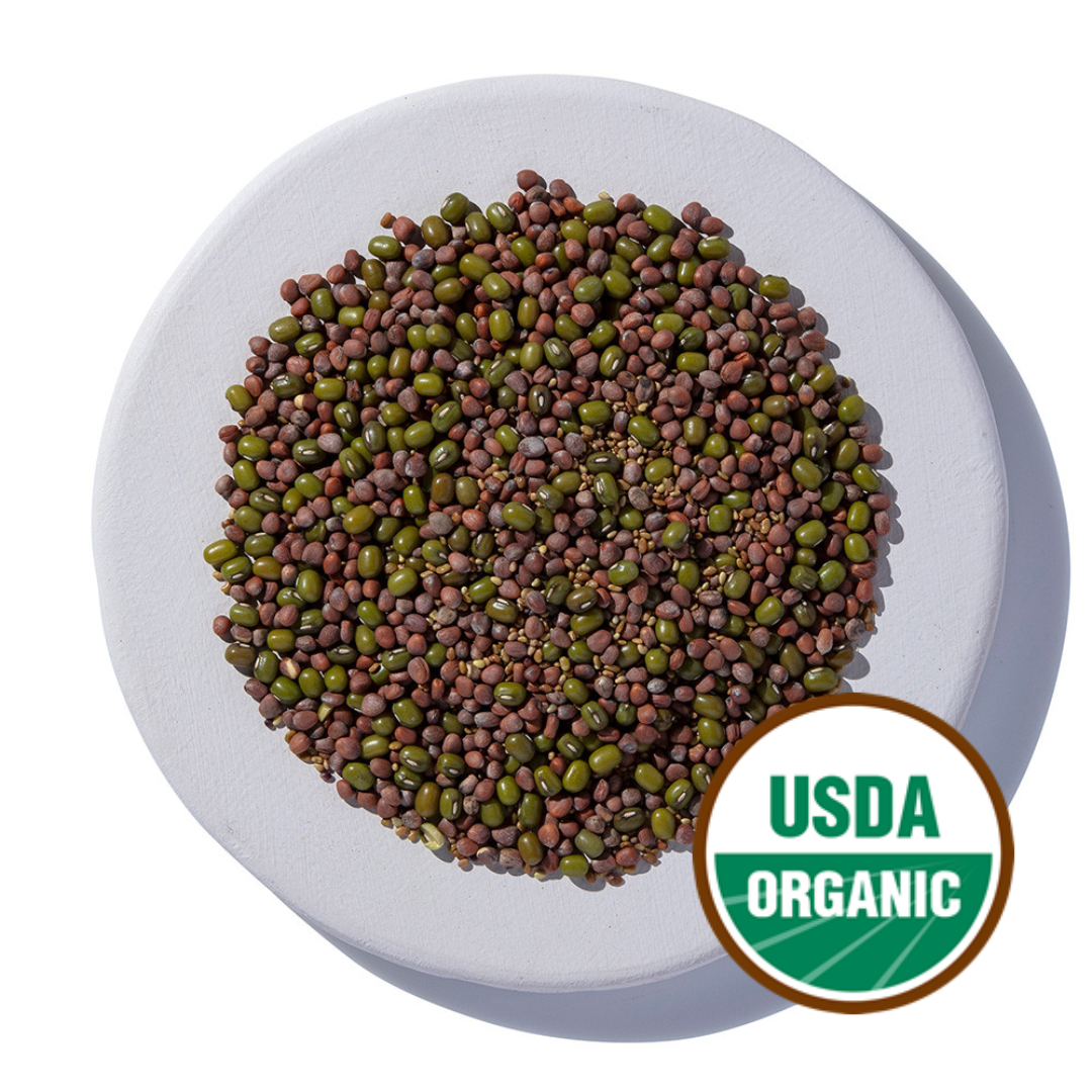 Salad Blend Sprouting Seeds, Organic