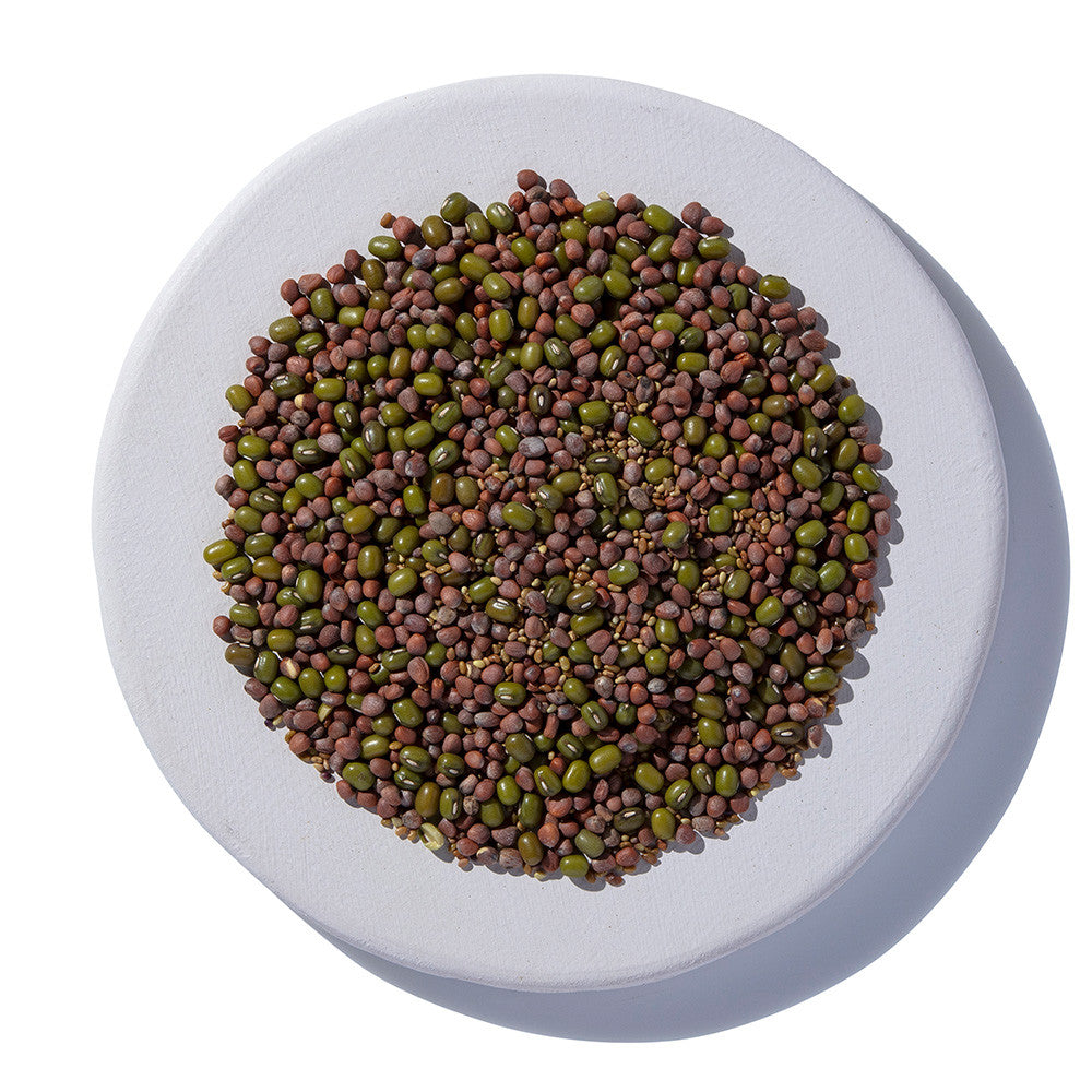 Salad Blend Sprouting Seeds, Organic