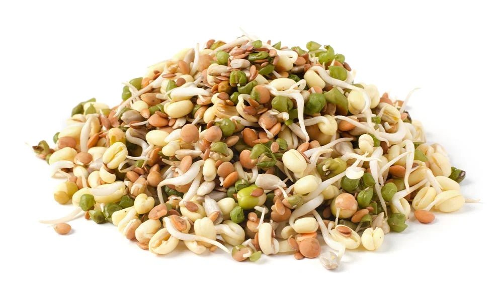 Salad Blend Sprouting Seeds, Organic