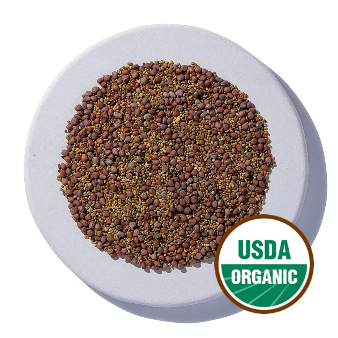 Sandwich Blend Sprouting Seeds, Organic