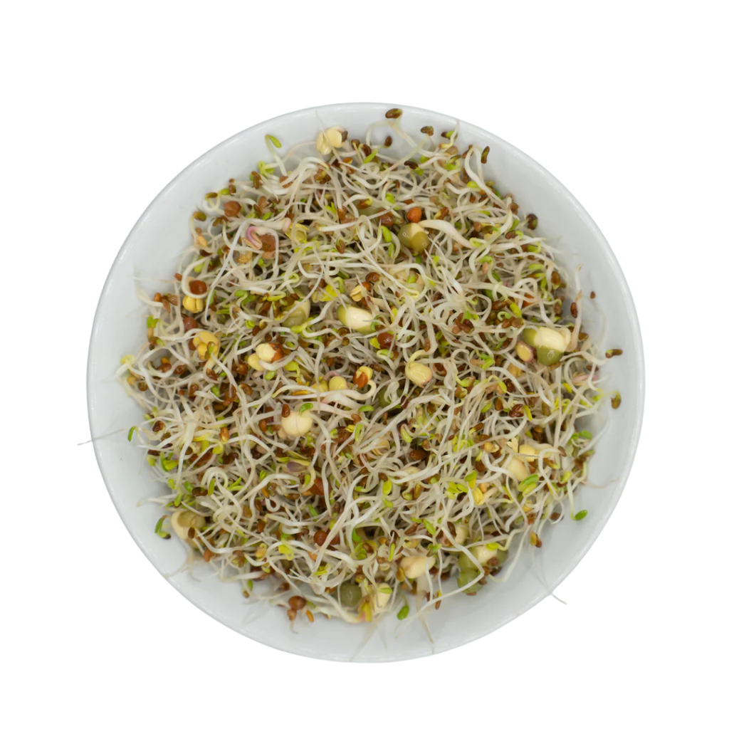 Sandwich Blend Sprouting Seeds, Organic