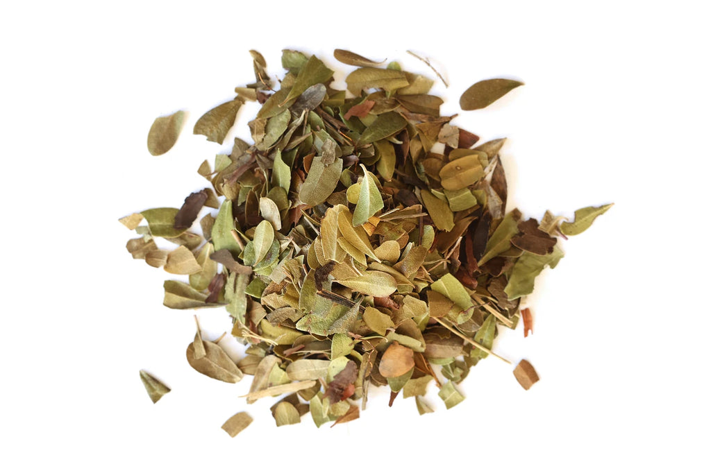 Uva Ursi (Organic)