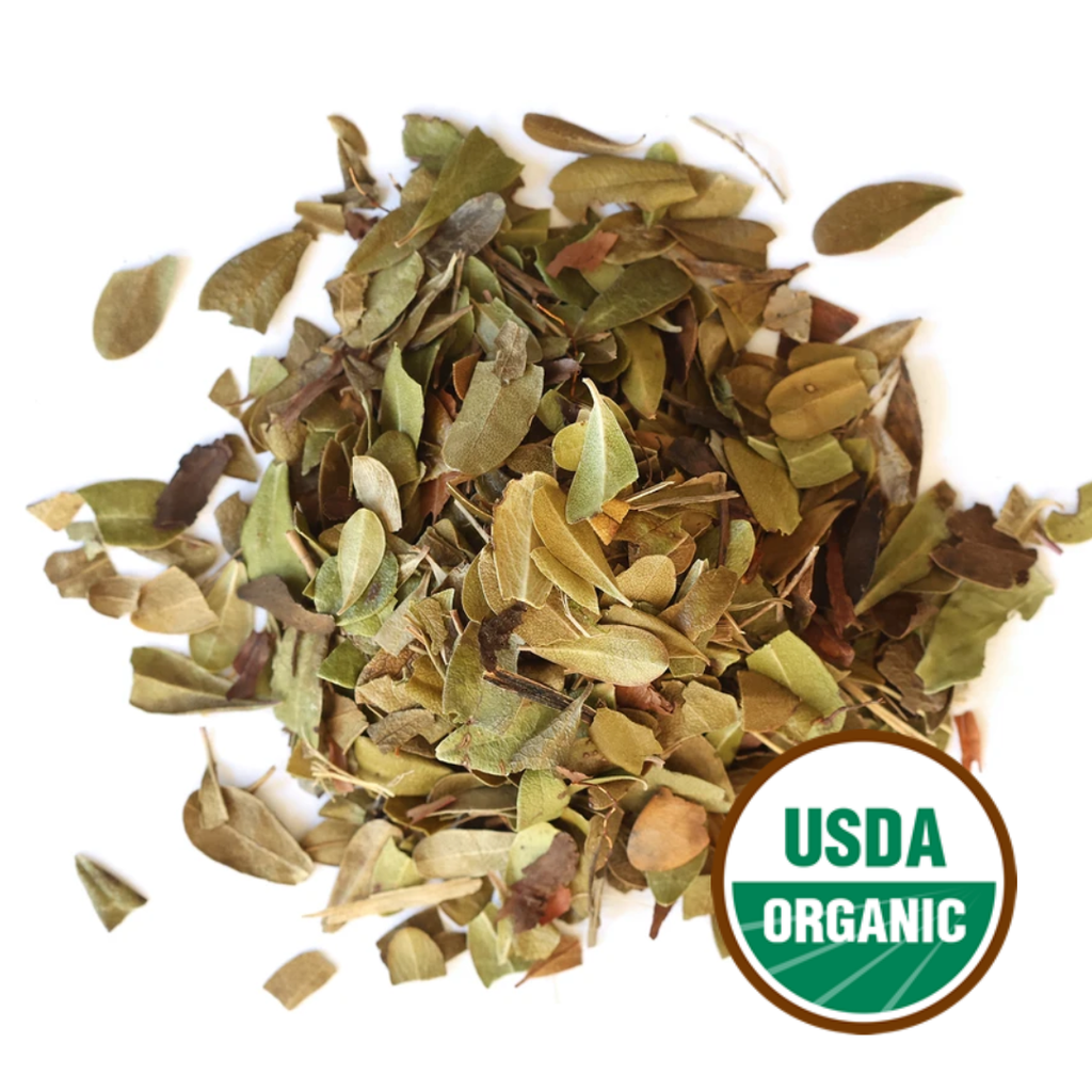 Uva Ursi (Organic)