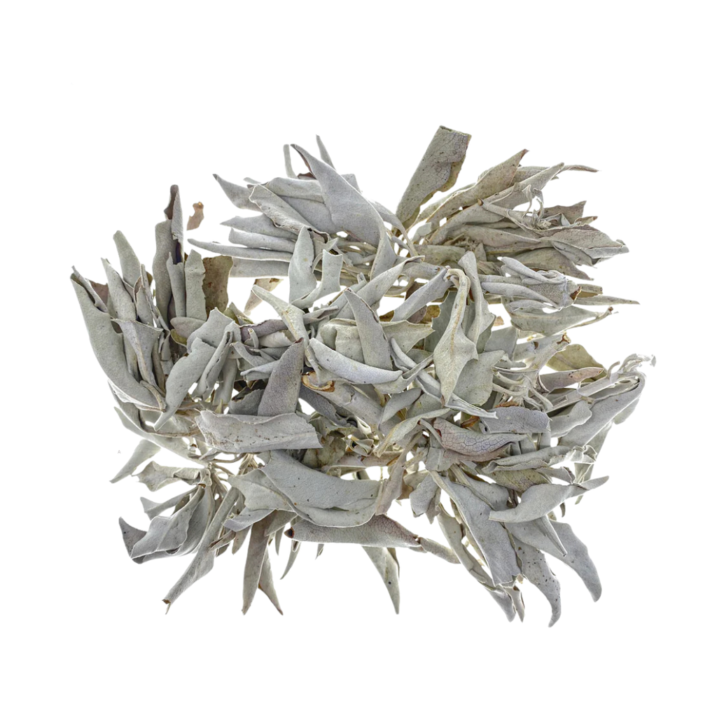 Sage, White/Ceremonial