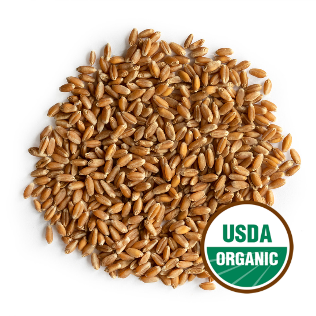 Wheatgrass Sprouting Seeds, Organic