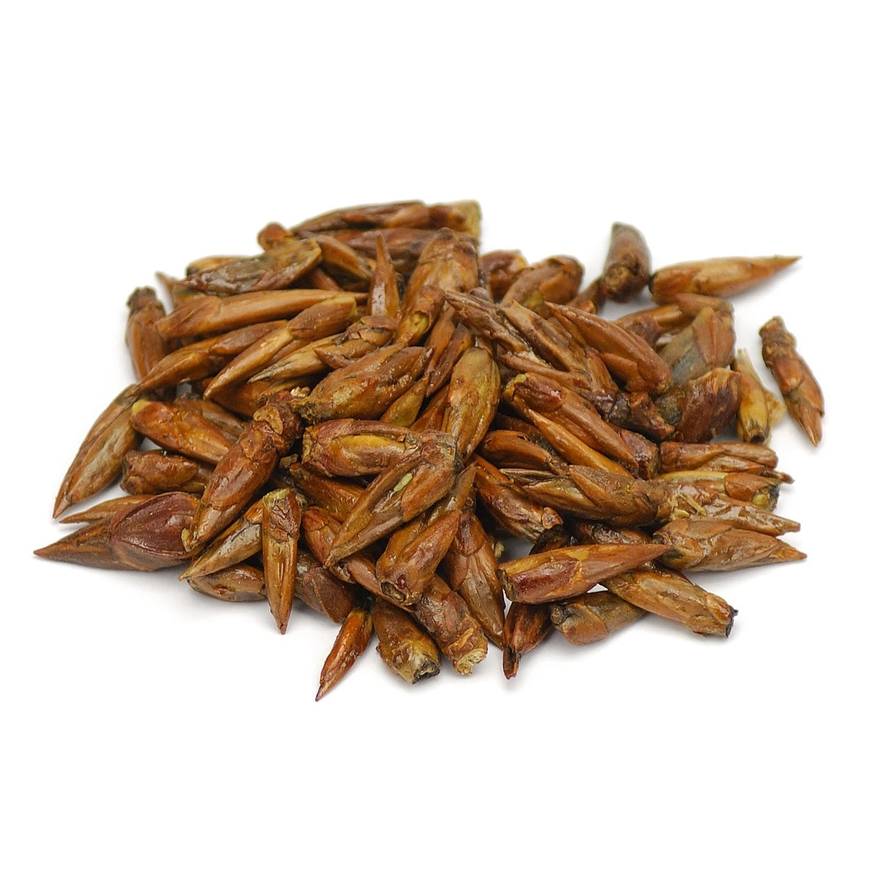 A pile of Balm of Gilead buds (buds of the Populus candicans tree) is on a white background.
