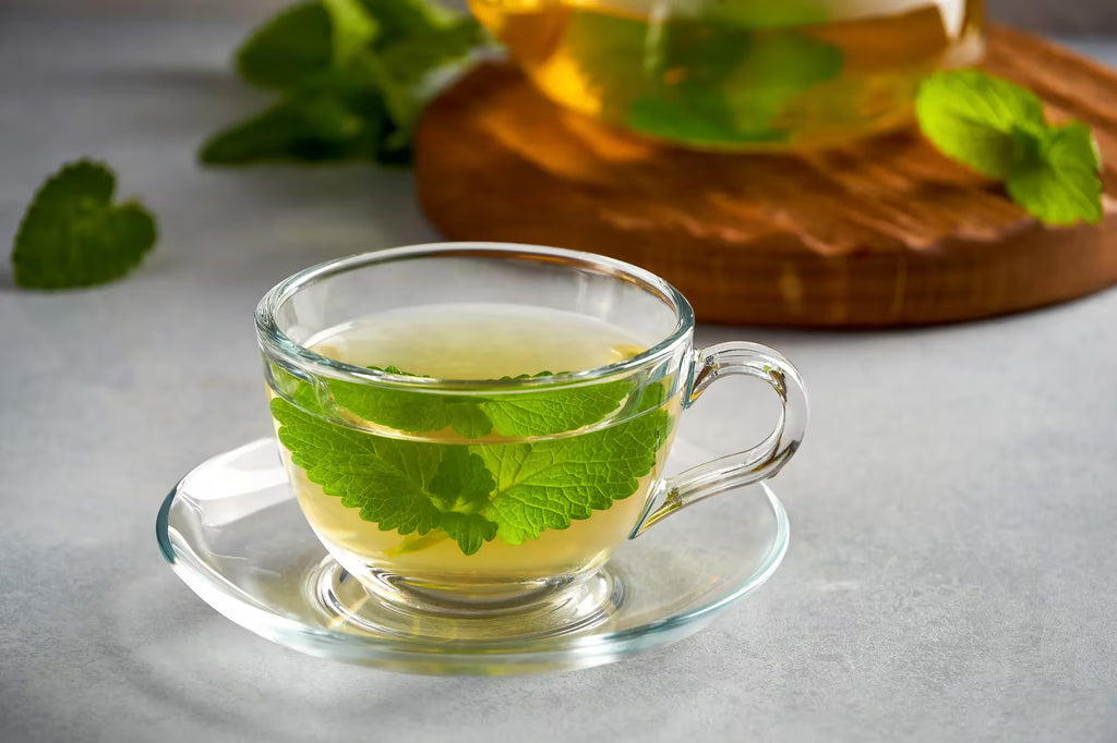 Lemon Balm Tea Bags, Organic