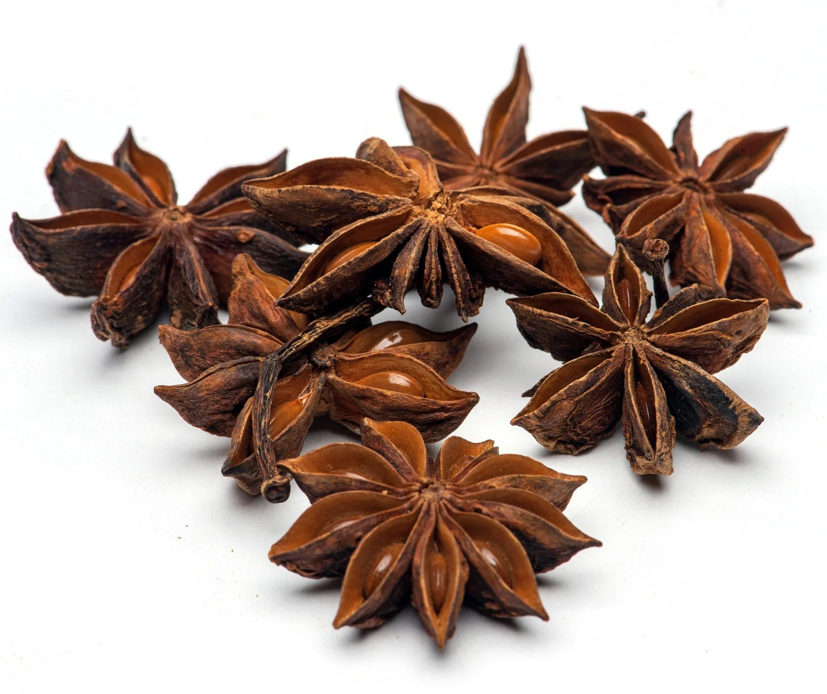 Star anise pods on a white background
